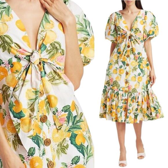 CARA CARA Georgica Puff-Sleeve Tie Front Citrus Print Dress - Picture 1 of 10